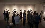 نمایشگاه عکس و چیدمان کجواج‌ها در گالری سایه