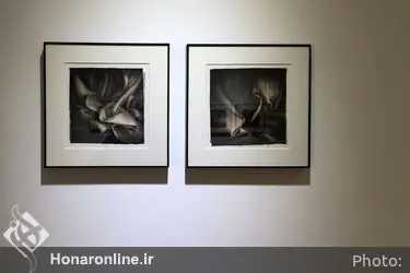 نمایشگاه آثار لیلی رشیدی در گالری اعتماد