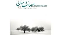 رونمایی از مصائب درختان در گالری مژده