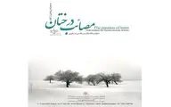 رونمایی از مصائب درختان در گالری مژده