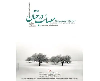 رونمایی از مصائب درختان در گالری مژده
