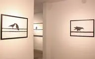 از تجربه عکاسی راه دور تا خاطرات کاغذی / گالری‌گردی هنرآنلاین در 4 نمایشگاه