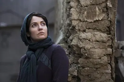 "دارکوب" به شبکه نمایش خانگی آمد