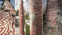 Land art in Tehran park mistaken for talismans