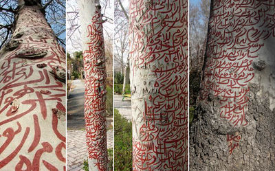 Land art in Tehran park mistaken for talismans
