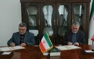 تاکید صالحی بر نقش‌آفرینی اصحاب فرهنگ و هنر در کاهش حوادث رانندگی