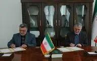 تاکید صالحی بر نقش‌آفرینی اصحاب فرهنگ و هنر در کاهش حوادث رانندگی