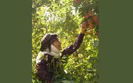  «مادران» روی آنتن شبکه یک سیما