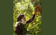  «مادران» روی آنتن شبکه یک سیما