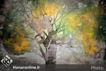 نمایشگاه نقاشی پونه جعفری‌نژاد در گالری شیرین