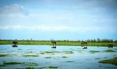 هنرِ هنرمندان، قابی روی دیوارِ گالری خورشید