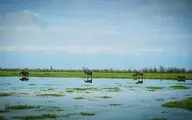هنرِ هنرمندان، قابی روی دیوارِ گالری خورشید