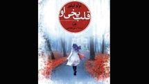 Lulu Taylor returns to Iranian bookstores with “Her Frozen Heart”