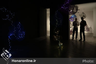  نمایشگاه آثار سولماز لینهارد در گالری آریانا