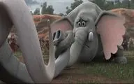 نمایش 