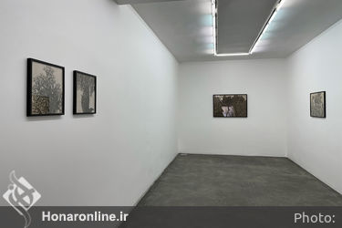 نمایشگاه طراحی انسیه اکبرزاده در گالری اُ