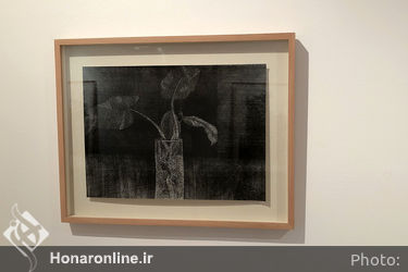 نمایشگاه آثار کسری گلرنگ در گالری هما