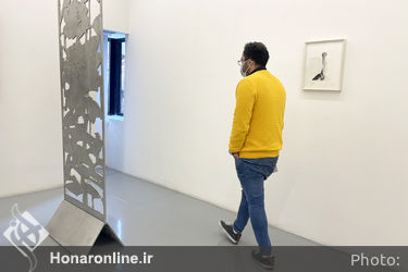 نمایشگاه گروهی " پرنده ها " در گالری سو