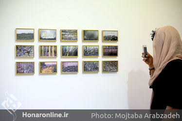 نمایشگاه آثار حامد دندی در گالری اعتماد نگارستان