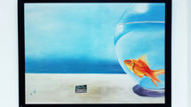 Aida Molavi paintings on Display