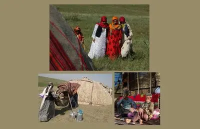 بررسی و لایه‌برداری از دلایل و چرایی شکل‌گیری یک نظام پوششی در میان عشایر ایران