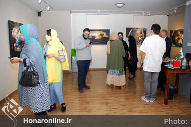 نمایشگاه نقاشی آثار شیما شوقی‌بیگی در گالری شلمان
