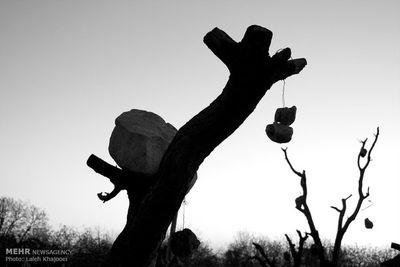 Meet the Most Peculiar Iranian Garden in Desert