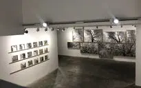 نمایشگاه آثار امید مهدی‌زاده در گالری باوان