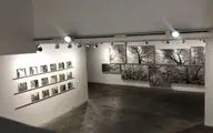 نمایشگاه آثار امید مهدی‌زاده در گالری باوان