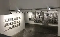 نمایشگاه آثار امید مهدی‌زاده در گالری باوان