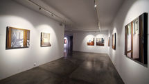 Solo Painting Exhibition by Niloufar Vejdani at Shirin Gallery