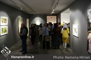 نمایشگاه نقاشی شادی نویانی در گالری شیرین