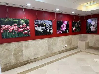 ضیافت رنگ و بهار در قاب تصویر