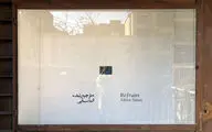 Visit Alma Sinai Works at 009821 Projects