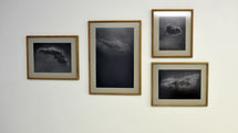 Baran Ahmadirad Exhibit at Vali Gallery