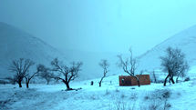 Exground Filmfest to screen movies from Iran