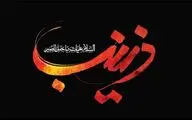 اشعاری در سوگ ارتحال بانوی فداکار اسلام و معرفی ۳۰ عنوان کتاب | کوه ایمانی و یقین زینب | راه تو راه سرخ عاشوراست