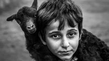 Iranian photographers win gold medals at Danube Digital Circuit 