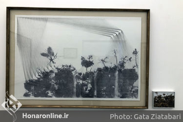نمایشگاه آثار تکتم صابری اشرفی در گالری سو 