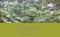 نمایشگاه «اجتماع تنهایی» در گالری شریف
