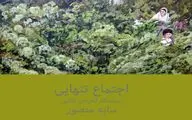 نمایشگاه «اجتماع تنهایی» در گالری شریف
