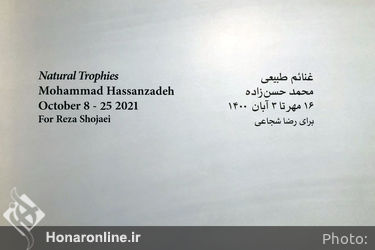 نمایشگاه آثار محمد حسن‌زاده در گالری اُ