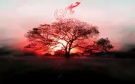 در آستانه‌ ماه سوگ/  پنج کتاب برای کسانی که می‌خواهند بیشتر بدانند