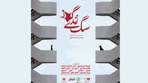 شهرزاد میزبان «سگِ زندگی» شد