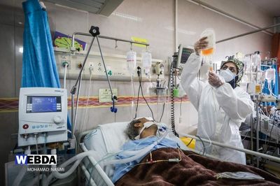 Fajr art festival to honor COVID-19 photographers 