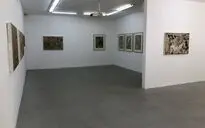 نمایشگاه آثار بیژن اخگر در گالری امکان