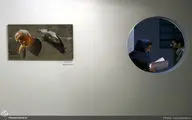 نمایشگاه های گالری آران در سال 95