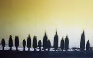 A Solo Exhibition by Mani Mehrazad in Negar Gallery 