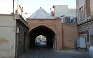 تنها 