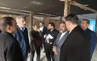 تاسیس سازمان تئاتر در دست بررسی است